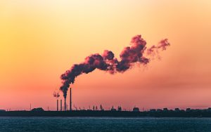 Carbon Credits Put a Price on Pollution, and That’s a Good Thing!