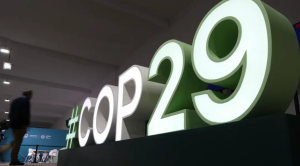 COP29: Unlocking the Future of Carbon Credits and Carbon Trading