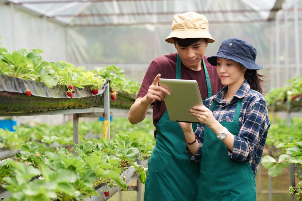 Farmers using sustainable methods to reduce emissions, increase soil carbon, and protect biodiversity through regenerative agriculture