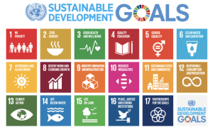 Roadmap for Achieving the SDGs by 2030