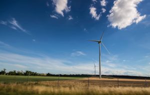 Who Issues Carbon Credits and How?