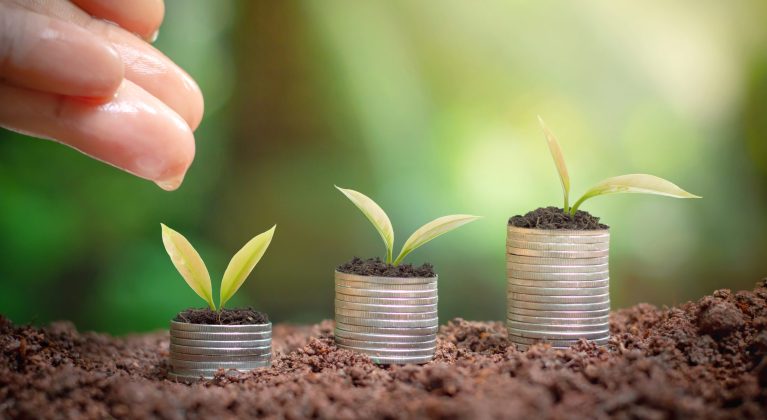 August 2025 carbon market news