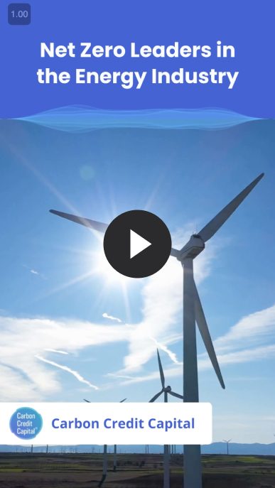 Net Zero Leaders in the Energy Industry