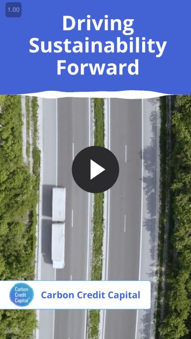 Driving Sustainability Forward
